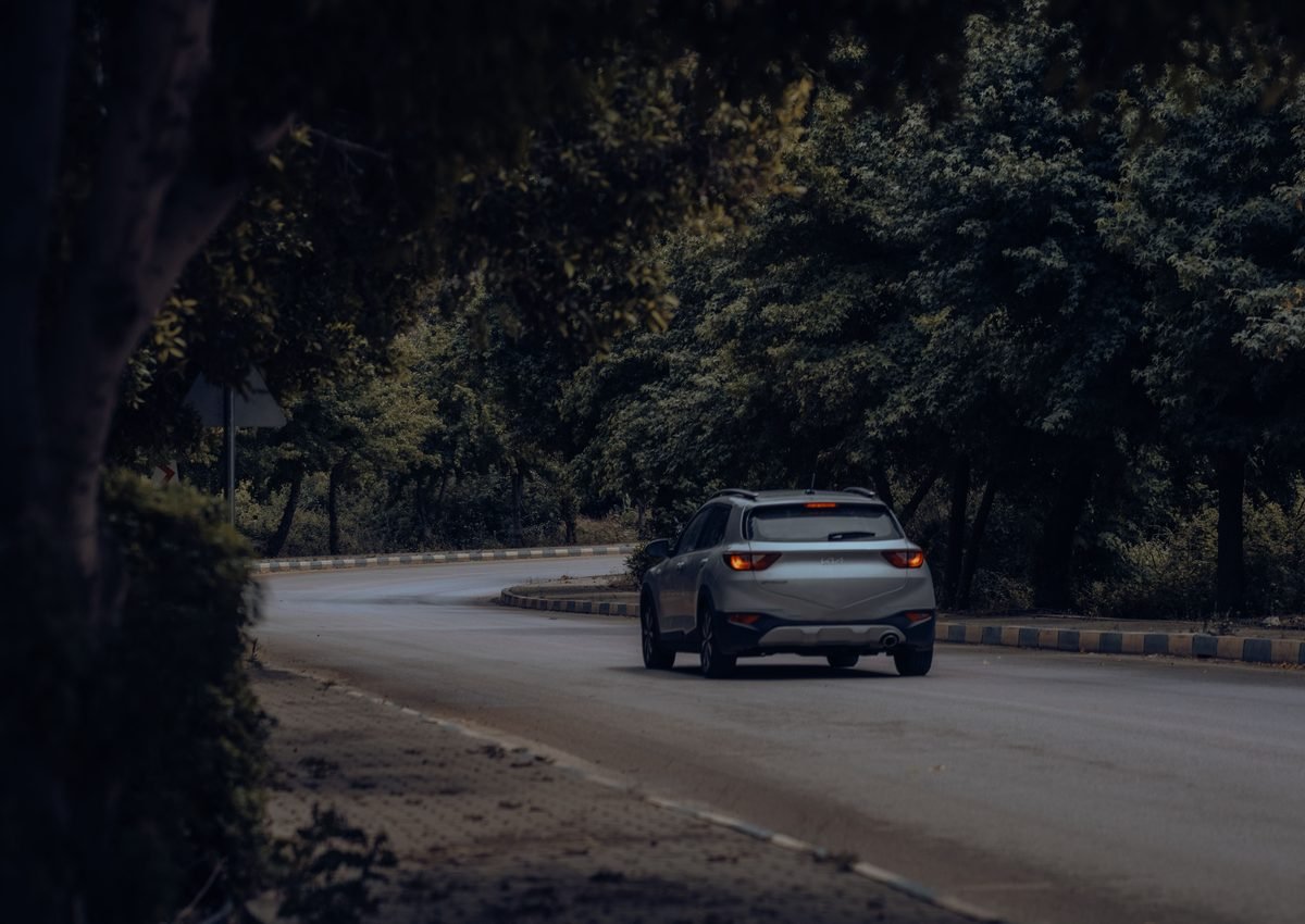 Silver SUV on forest road
